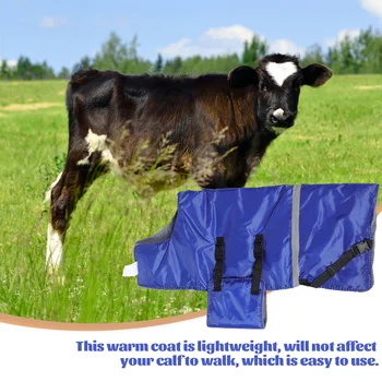 Теплая одежда для теленка, непромокаемый жилет для теленка, пальто для коровы, предотвращающее простуду, для фермы Изображение 2