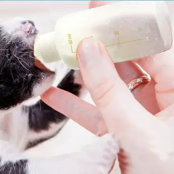 Кормушка для кормления новорожденных собак, бутылочка для воды, бутылочка для питья кошек, бутылочка для молока, бутылочка для кормления котенка, принадлежности для кормления домашних животных Изображение 2