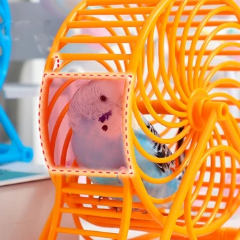 Колесо для бега домашних попугаев с подставкой для игр-Принадлежности для клетки