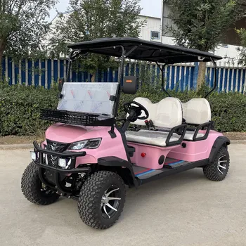 Изготовленный на заказ на заводе Новый легальный литий-ионный аккумулятор мощностью 5000 Вт, электрический гольф-кар с задним сиденьем по низкой цене