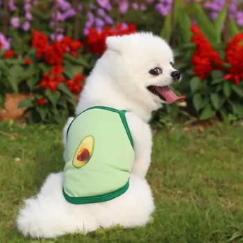 Летняя одежда для щенков с милым фруктовым принтом, камзол Йорки, рубашка для собак, жилет для маленьких собак, костюм кошки чихуахуа Ropa Perro